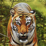 Tiger (Oil Painting)