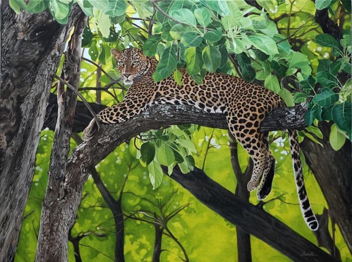 Leopard's Prowl - Oil on Canvas painting by Shakthi Prasad