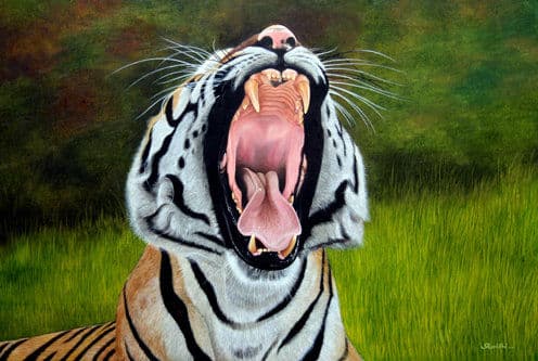 Awakening Tiger - Oil on Board painting by Shakthi Prasad