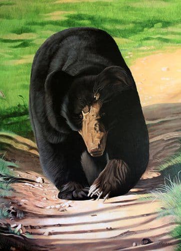 Guardian Bear - Wall Painting painting by Shakthi Prasad