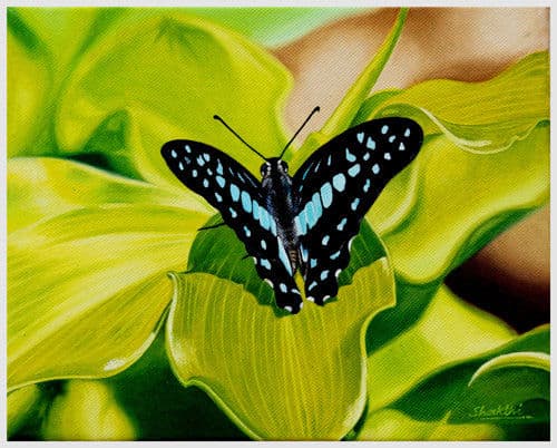 Wings of Wonder - Oil on Canvas painting by Shakthi Prasad