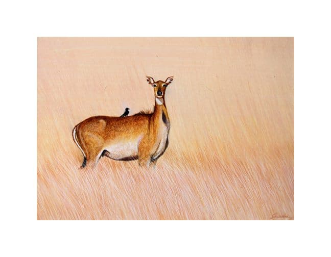 Miniature Sambar - Acrylic painting by Shakthi Prasad