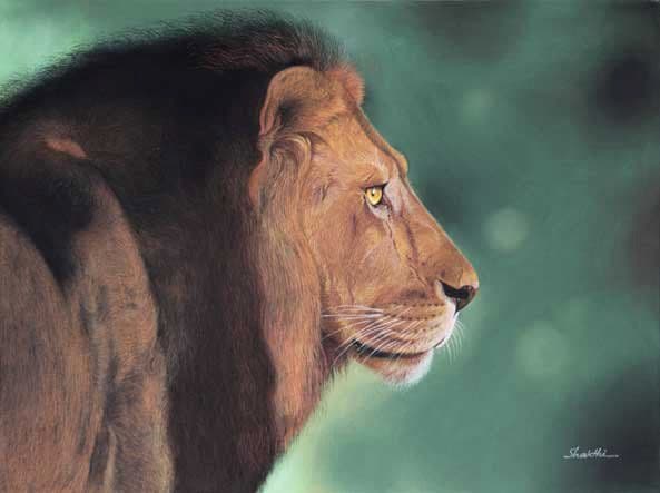Lion's Roar - Pastel painting by Shakthi Prasad