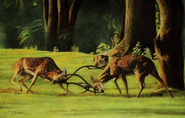 Gentle Wanderer - Pastel painting by Shakthi Prasad