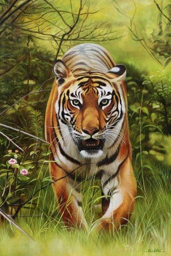 Tiger's Domain - Oil on Canvas painting by Shakthi Prasad