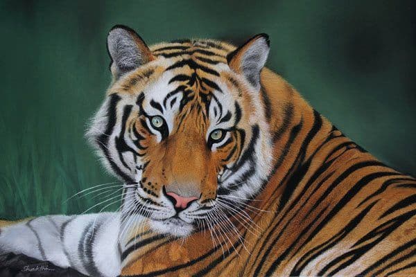 Striped Majesty - Pastel painting by Shakthi Prasad