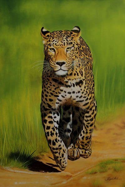 Spotted Phantom - Pastel painting by Shakthi Prasad