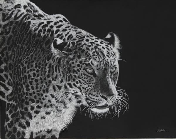 Shadow Stalker - Scratch Board painting by Shakthi Prasad