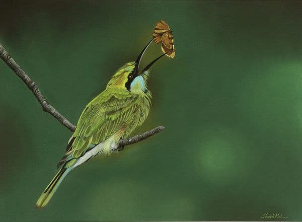 Emerald Hunter - Pastel painting by Shakthi Prasad