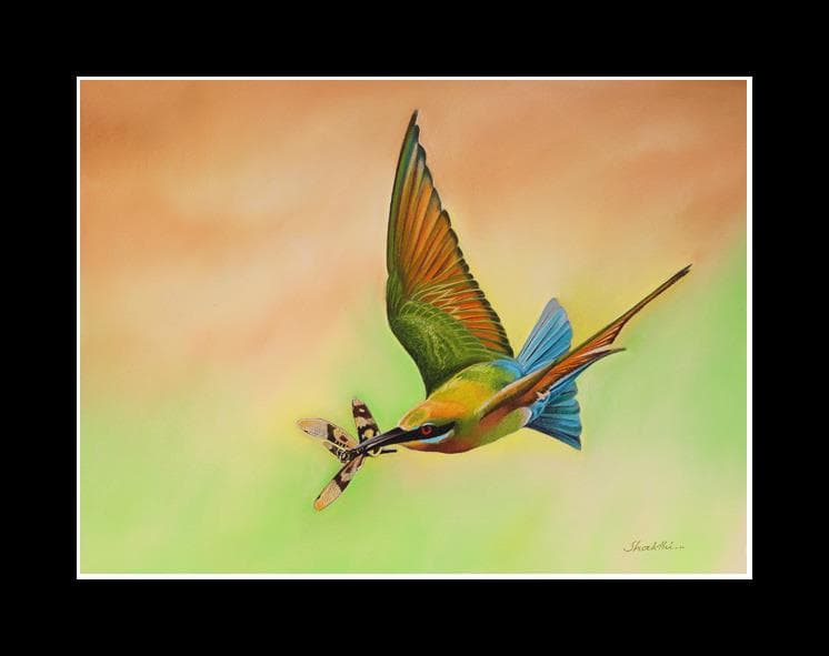Aerial Artist - Pastel painting by Shakthi Prasad
