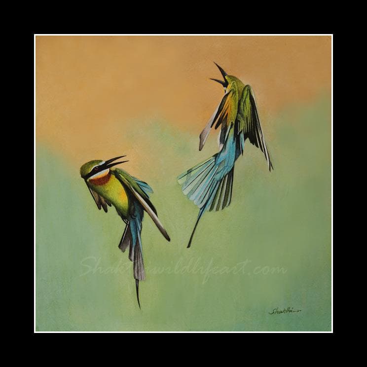Blue Tailed Jewel - Water Color painting by Shakthi Prasad