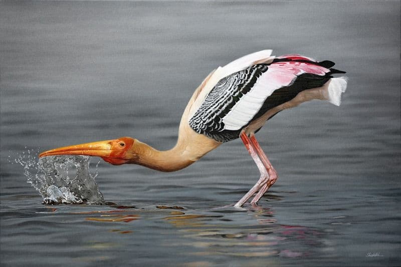 Painted Stork - Oil on canvas painting by Shakthi Prasad