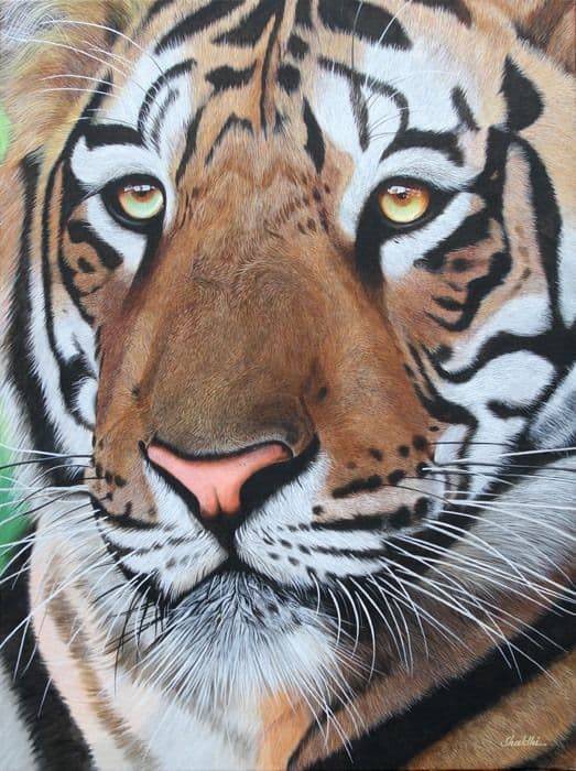 Tiger's Soul - Oil on Canvas painting by Shakthi Prasad
